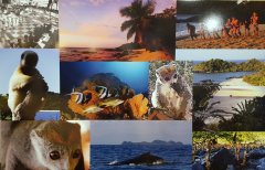 ankazoberavina-concorso-fotografico-collage-1.jpg