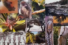 ankazoberavina-concorso-fotografico-collage-2.jpg